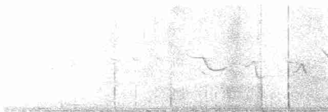 Papamoscas Vívido (vivida) - ML425352511