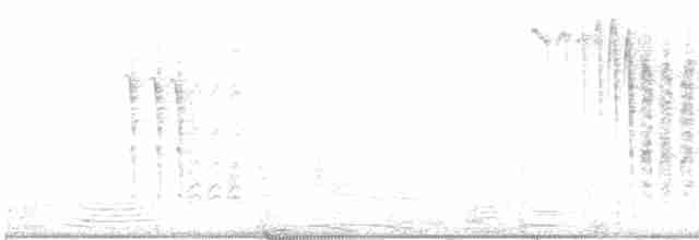Можжевельниковая гренадерка - ML425486911
