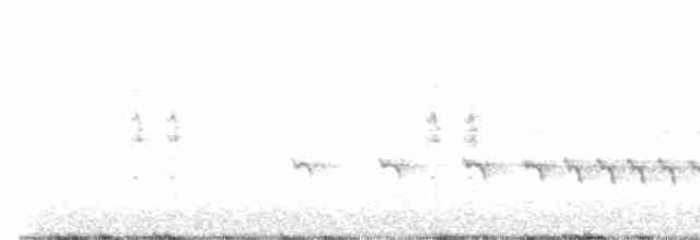 Chaparralgrasmücke - ML425536751