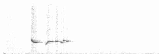 Troglodyte de Negret - ML425569411