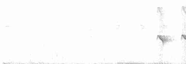 Strichelkopf-Ameisenfänger - ML425570131
