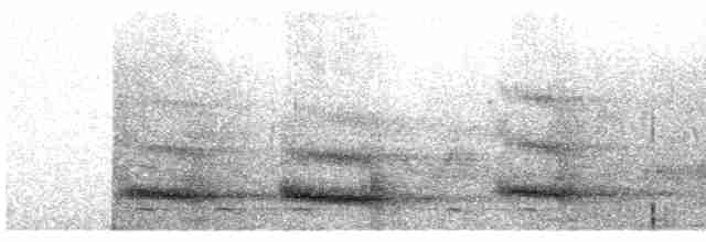 Channel-billed Toucan (Ariel) - ML425735041