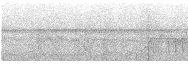 Kara Kulaklı Bityiyen - ML425738671