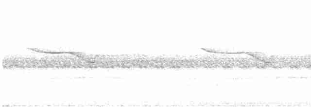Band-winged Nightjar - ML426004471