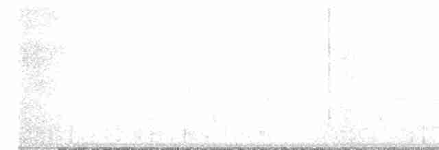 káně páskovaná (ssp. extimus) - ML426010981