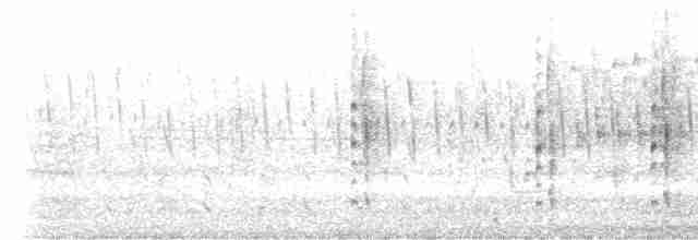 Al Kanatlı Karatavuk [phoeniceus grubu] - ML426140971
