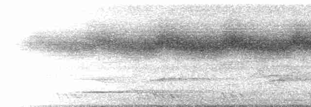 Gray-throated Babbler - ML426222861
