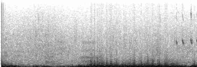 Тёмная трясохвостка (antarcticus) - ML426246401