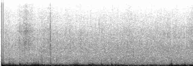 Тёмная трясохвостка (antarcticus) - ML426246411