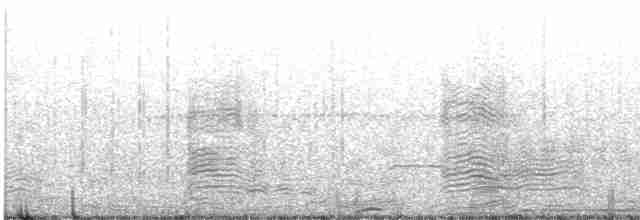 svartbrynalbatross (melanophris) - ML426247381