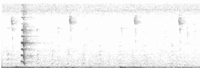 Common Gallinule - ML426266311