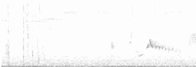 White-eyed Vireo - ML426267971