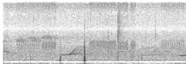Tinamou à grands sourcils - ML426345351