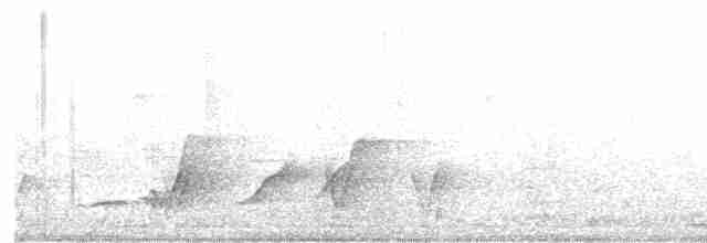 Black-tailed Whistler - ML426443321