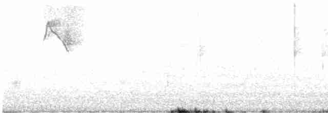 Mor Sokumlu Nektarkuşu - ML426514721