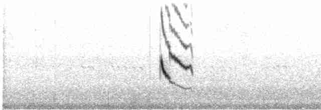 Uzun Kuyruklu Sinklot (espinhacensis) - ML426540591
