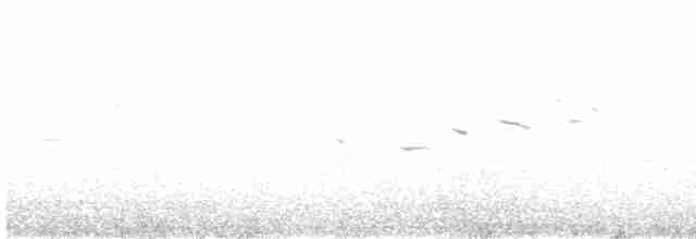 Жайворонок рогатий (підвид atlas) - ML426659321