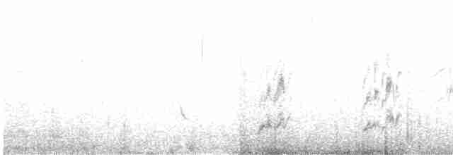 Краснокрылый чечевичник (alienus) - ML426659781