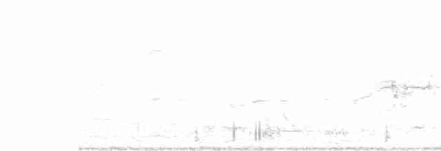Spotless Crake - ML426797851