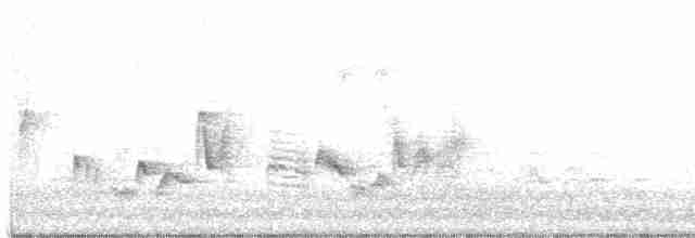 White-eyed Vireo - ML426899711