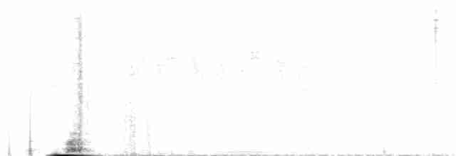 skjellstuttvinge (albiventer/pallidior) - ML426900101