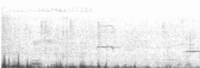 Тиран-малюк омеловий - ML426936431