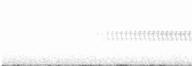 Kara Gözlü Junko (hyemalis/carolinensis) - ML427056111