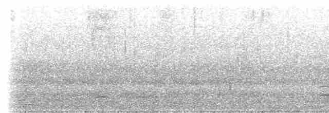 Sarcelle d'hiver (carolinensis) - ML427123251