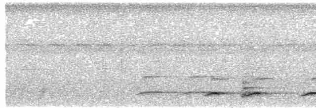 White-throated Toucan - ML427140001