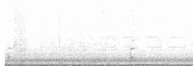 Spotless Crake - ML427166191