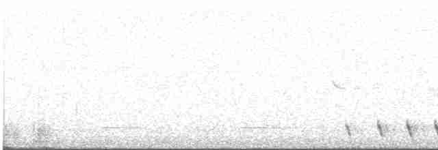 Gray Nightjar - ML427341941