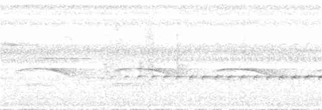 Шперкар плямистокрилий - ML42743961