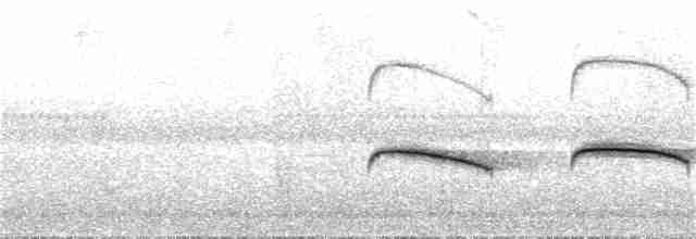 White-eared Bronze-Cuckoo - ML42750861