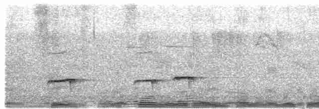 Boz Kuşaklı Yerçavuşu - ML427528881