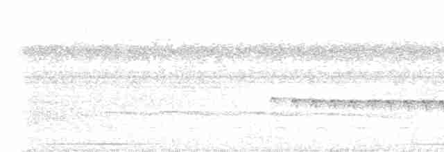 Weißstirn-Ameisenschnäpper - ML427695211