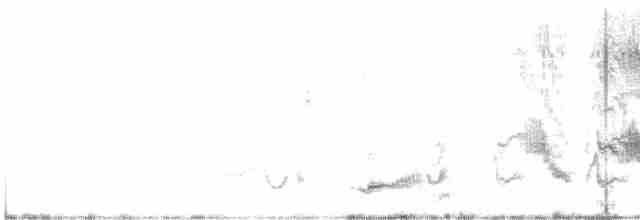 Кактусовый пересмешник - ML427845561