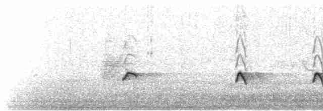 Chaparralgrasmücke - ML427964301