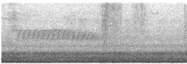 雑種 アンナハチドリ ｘ アカフトオハチドリ - ML428008071