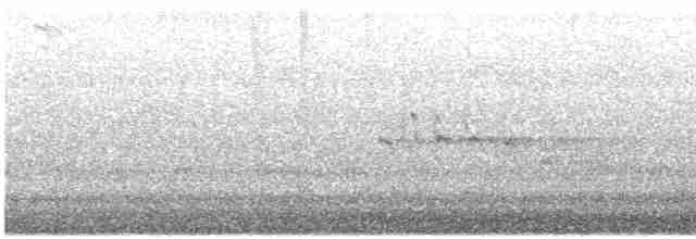 Каліпта рубіновоголова x колібрі-крихітка вогнистий - ML428008111