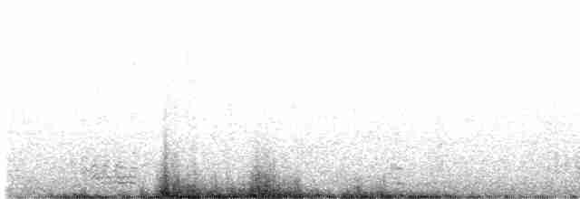 Чёрная казарка (hrota) - ML428064211