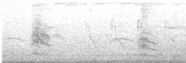 棕頭鷗 - ML428155251