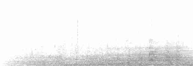 אווז קיסרי - ML42823661