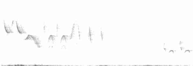 Bruant fauve (groupe megarhyncha) - ML428262621
