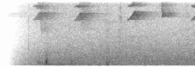 Изумрудогорлый колибри - ML428269251