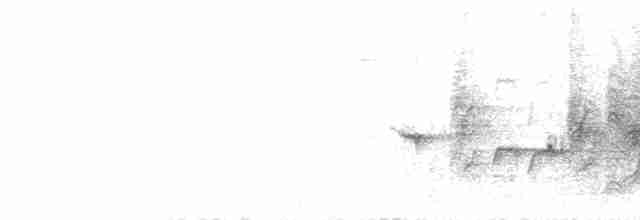 Кропив’янка єменська - ML428325811