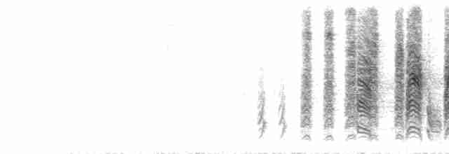 Кропив’янка єменська - ML428325901