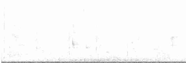 White-breasted Whistler - ML428387201