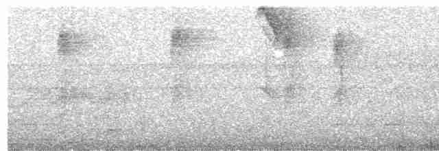 White-throated Hummingbird - ML428499231