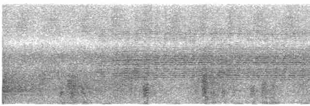 Kara Kanatlı Borazankuşu (interjecta) - ML428564361