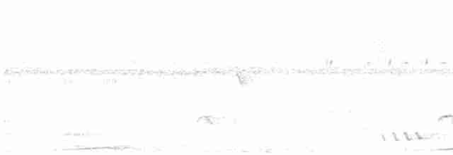 holub černošíjný - ML428728091